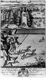 Coursing met windhonden, uit 